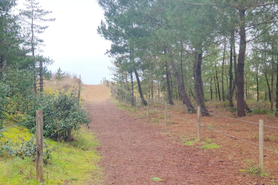 Photo 2 - Vente Appartement 2 pièce(s) - 46 m²