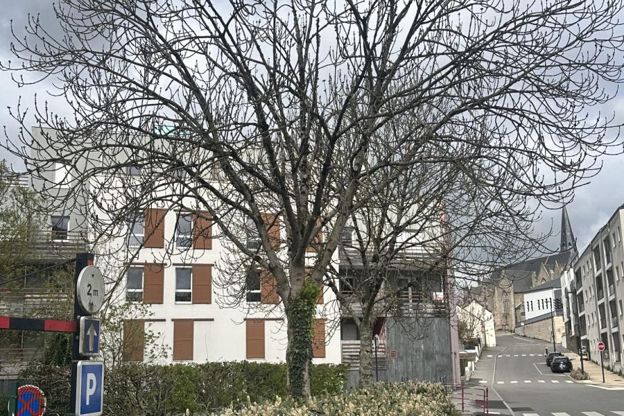 Photo 2 - Location Appartement 2 pièce(s) - 47 m²