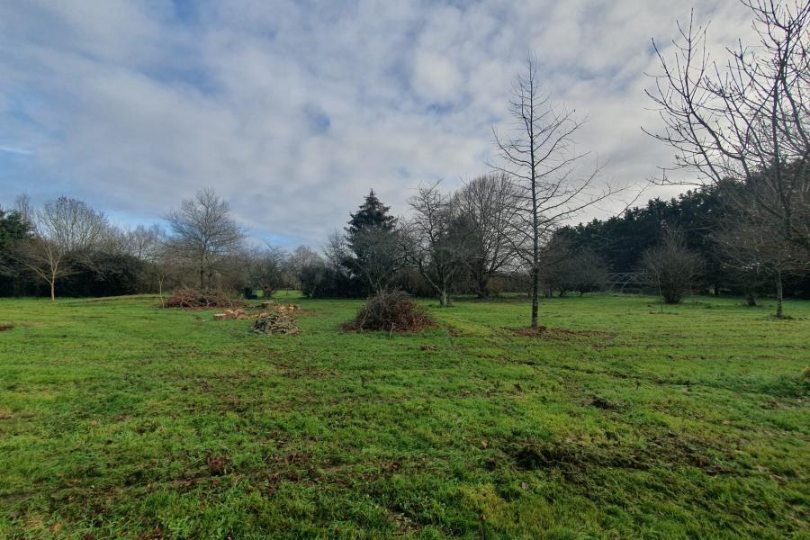 Vente Maison 7 pièce(s) - 174 m² | 465000 € Campbon Réf.VM9540-DOMINNO44 Photo 3 - Vente Maison 7 pièce(s) - 174 m²