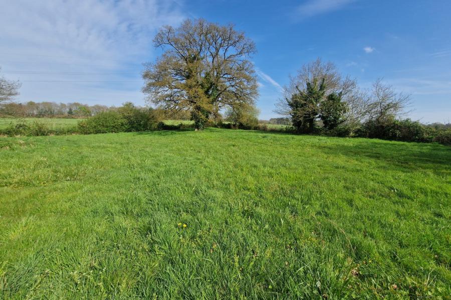 Photo 1 - Location Maison 4 pièce(s) - 67 m²