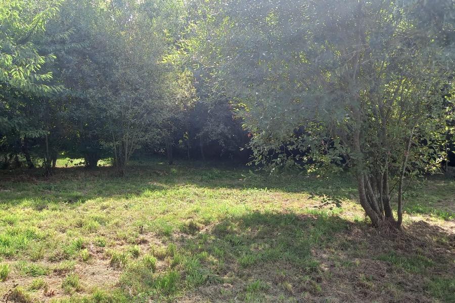 Photo 5 - Vente Maison 3 pièce(s) - 110 m²