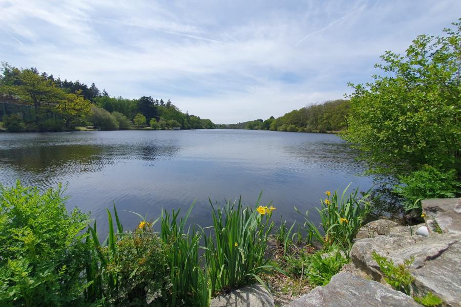 Vente Terrain | 177000 € Savenay Réf.VT1197-DOMINNO44 Photo 3 - Vente Terrain