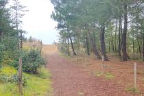 Photo 3 - Vente Appartement 2 pièce(s) - 46 m²