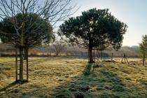 Photo 4 - Location Maison 4 pièce(s) - 65 m²