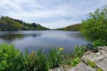 Vente Terrain | 177000 € Savenay Réf.VT1197-DOMINNO44 Photo 3 - Vente Terrain