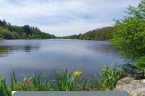 Photo 2 - Vente Terrain